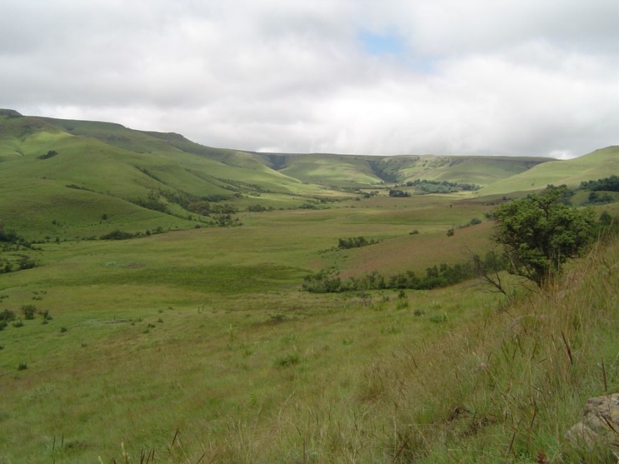 9 Bedroom Property for Sale in Newcastle Rural KwaZulu-Natal