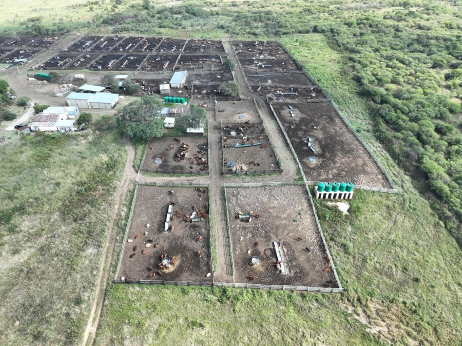 15 Bedroom Property for Sale in Nambiti KwaZulu-Natal
