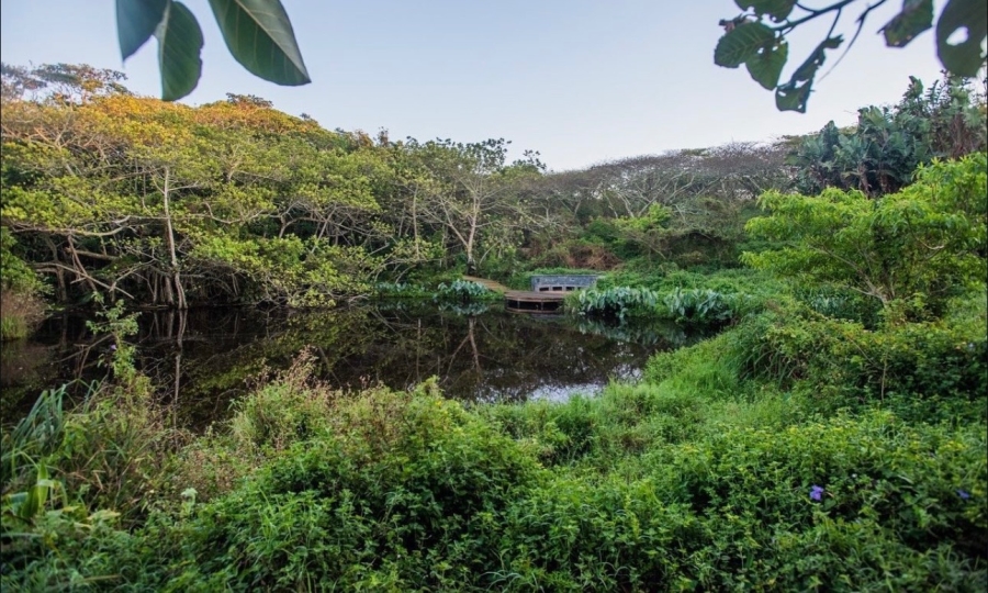 0 Bedroom Property for Sale in Elaleni Coastal Forest Estate KwaZulu-Natal