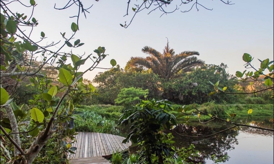 0 Bedroom Property for Sale in Elaleni Coastal Forest Estate KwaZulu-Natal