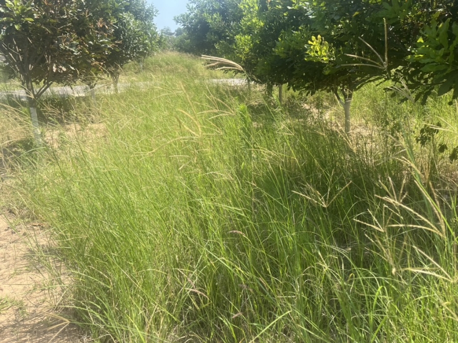 4 Bedroom Property for Sale in Elaleni Coastal Forest Estate KwaZulu-Natal
