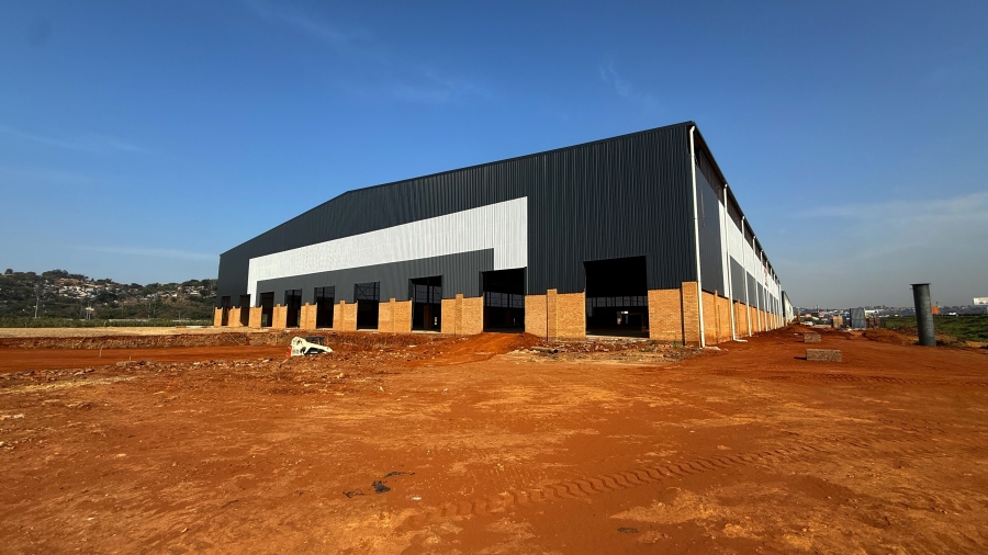 To Let Commercial Property for Rent in Springfield KwaZulu-Natal