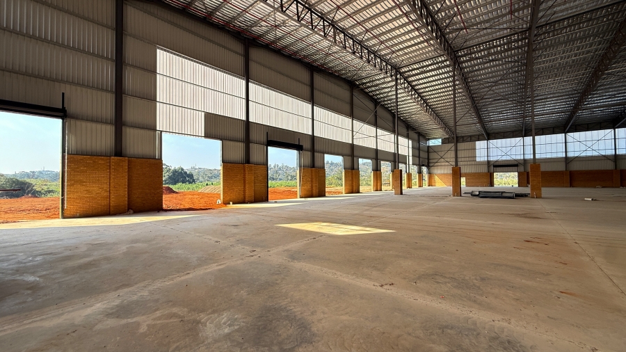 To Let Commercial Property for Rent in Springfield KwaZulu-Natal