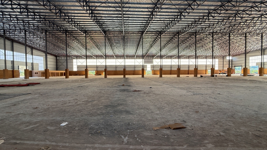 To Let Commercial Property for Rent in Springfield KwaZulu-Natal