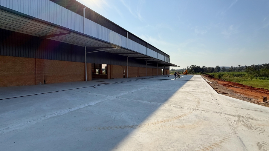 To Let Commercial Property for Rent in Springfield KwaZulu-Natal