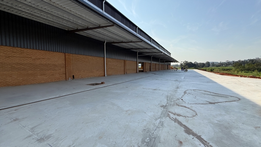 To Let Commercial Property for Rent in Springfield KwaZulu-Natal