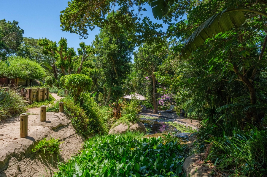 6 Bedroom Property for Sale in Ballito Central KwaZulu-Natal