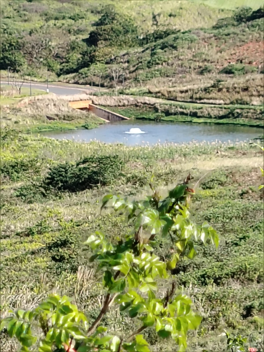 0 Bedroom Property for Sale in Zimbali Lakes Resort KwaZulu-Natal