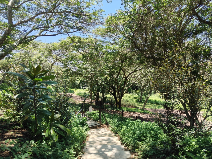 4 Bedroom Property for Sale in Elaleni Coastal Forest Estate KwaZulu-Natal