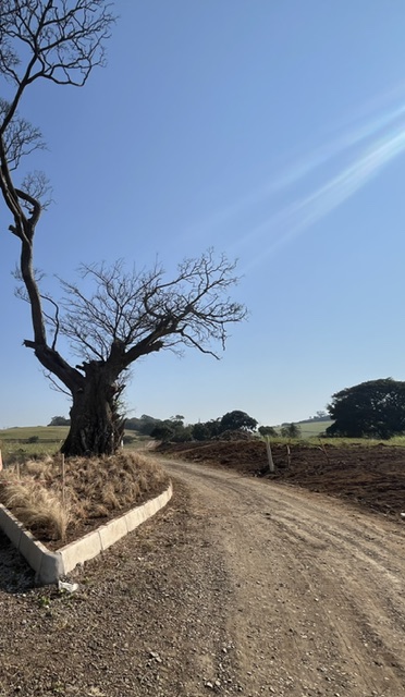 0 Bedroom Property for Sale in Ballito Central KwaZulu-Natal