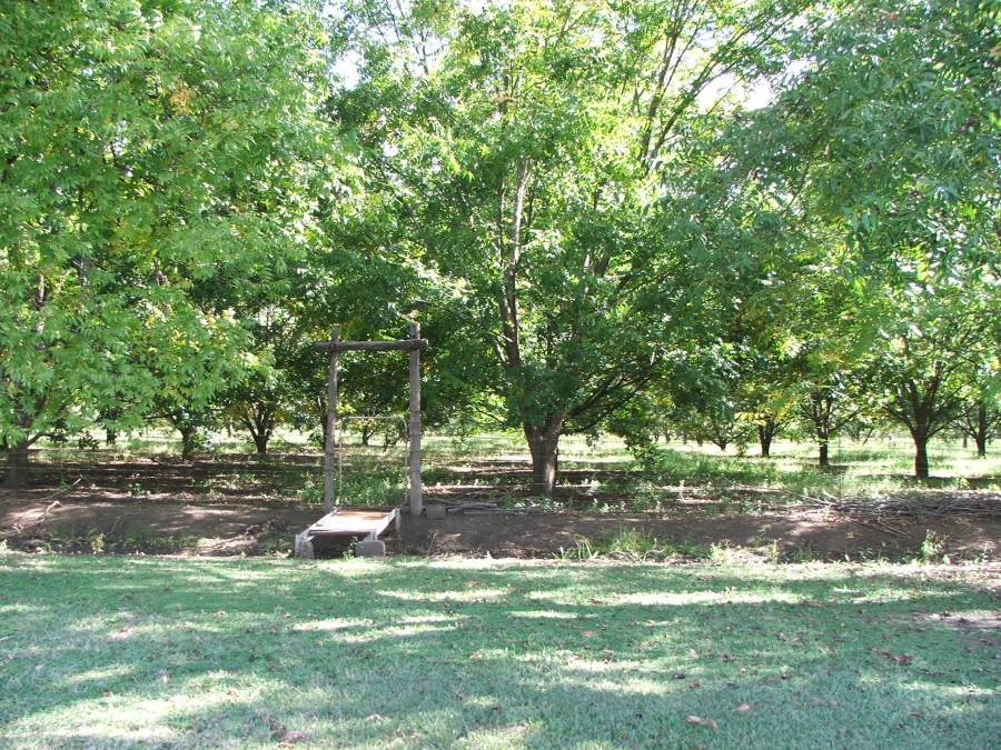 4 Bedroom Property for Sale in Weenen KwaZulu-Natal