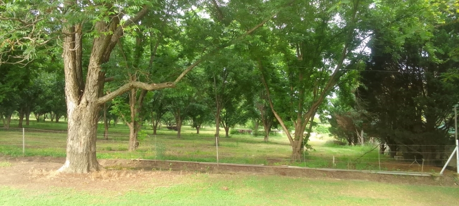 4 Bedroom Property for Sale in Weenen KwaZulu-Natal