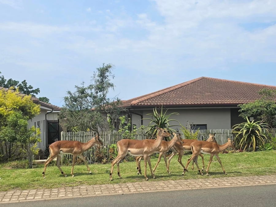 3 Bedroom Property for Sale in Palm Lakes Estate KwaZulu-Natal