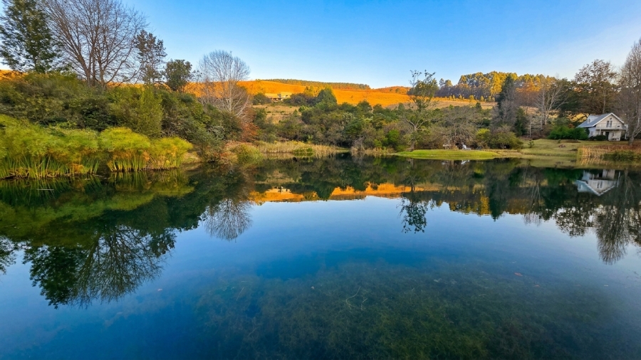 4 Bedroom Property for Sale in Dargle KwaZulu-Natal