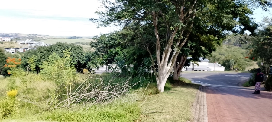 0 Bedroom Property for Sale in Palm Lakes Estate KwaZulu-Natal