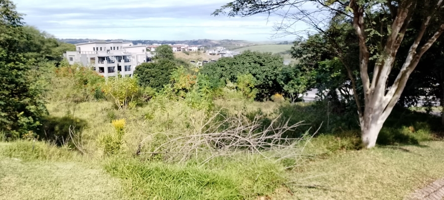 0 Bedroom Property for Sale in Palm Lakes Estate KwaZulu-Natal