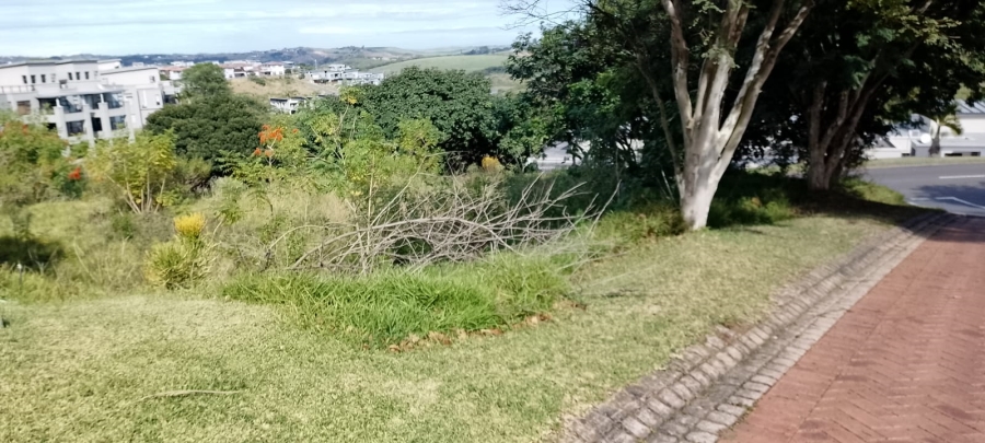0 Bedroom Property for Sale in Palm Lakes Estate KwaZulu-Natal
