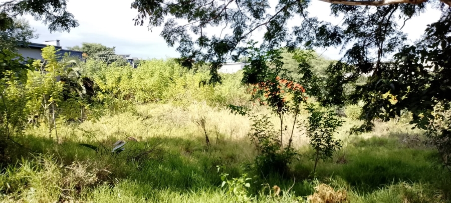 0 Bedroom Property for Sale in Palm Lakes Estate KwaZulu-Natal