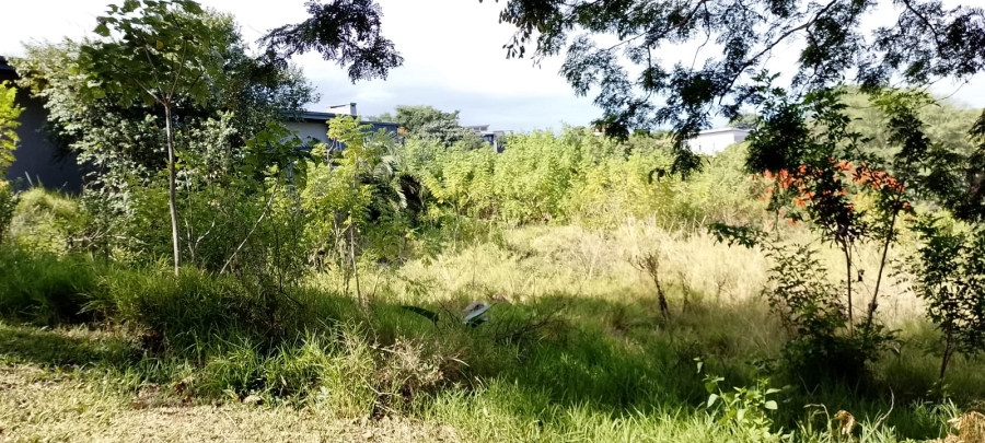 0 Bedroom Property for Sale in Palm Lakes Estate KwaZulu-Natal