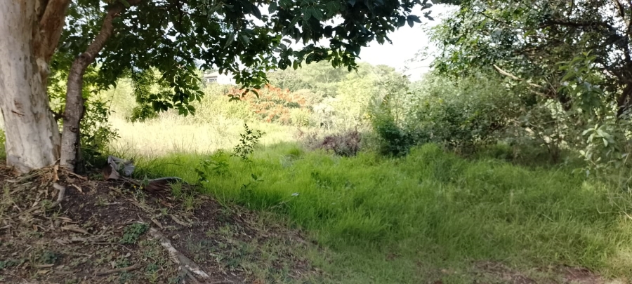 0 Bedroom Property for Sale in Palm Lakes Estate KwaZulu-Natal