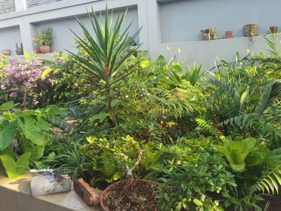 3 Bedroom Property for Sale in Mtunzini KwaZulu-Natal