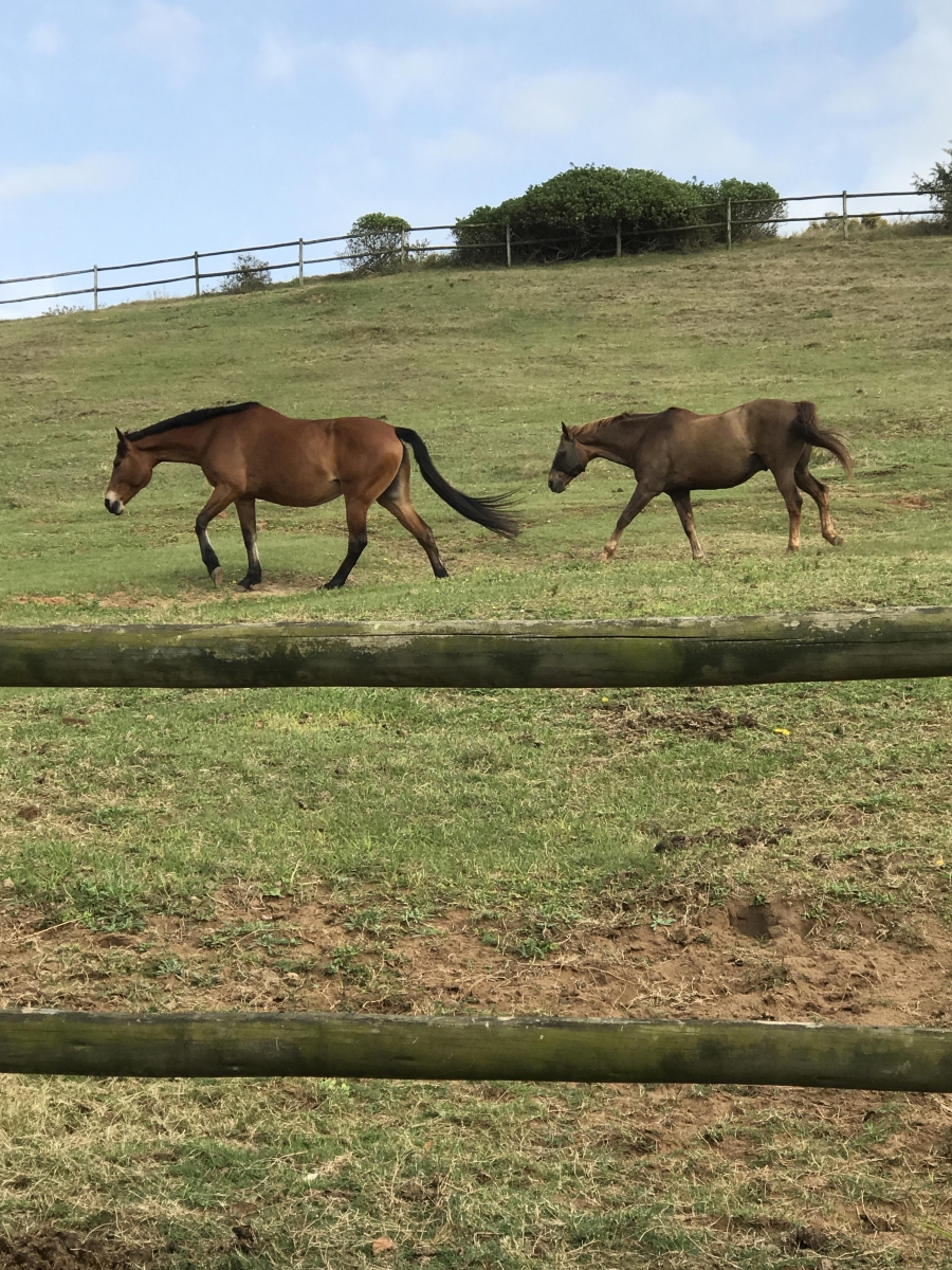 3 Bedroom Property for Sale in Simbithi Eco Estate KwaZulu-Natal
