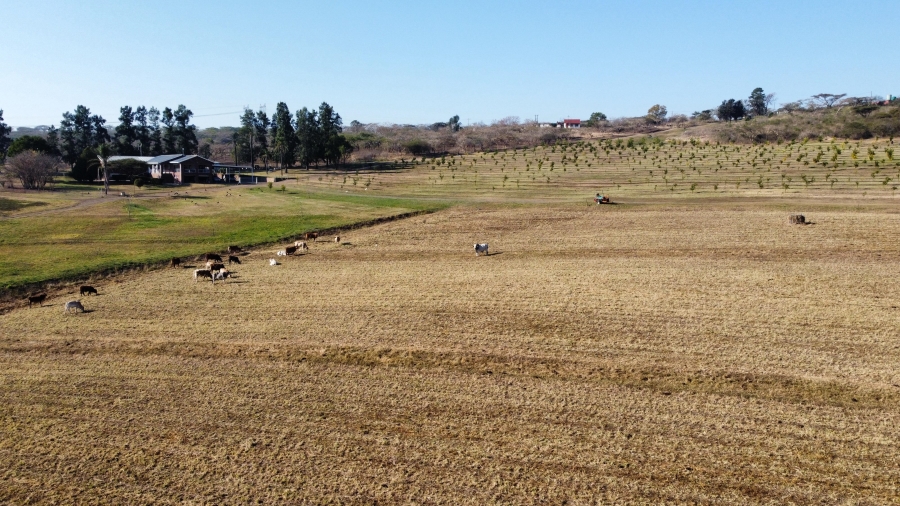 4 Bedroom Property for Sale in Albert Falls KwaZulu-Natal