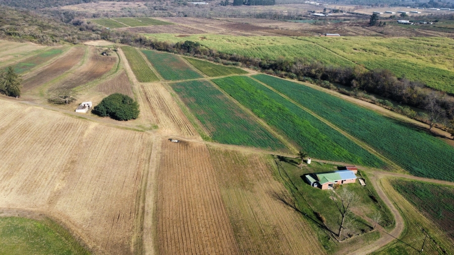 4 Bedroom Property for Sale in Albert Falls KwaZulu-Natal