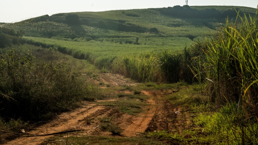 0 Bedroom Property for Sale in Tinley Manor KwaZulu-Natal