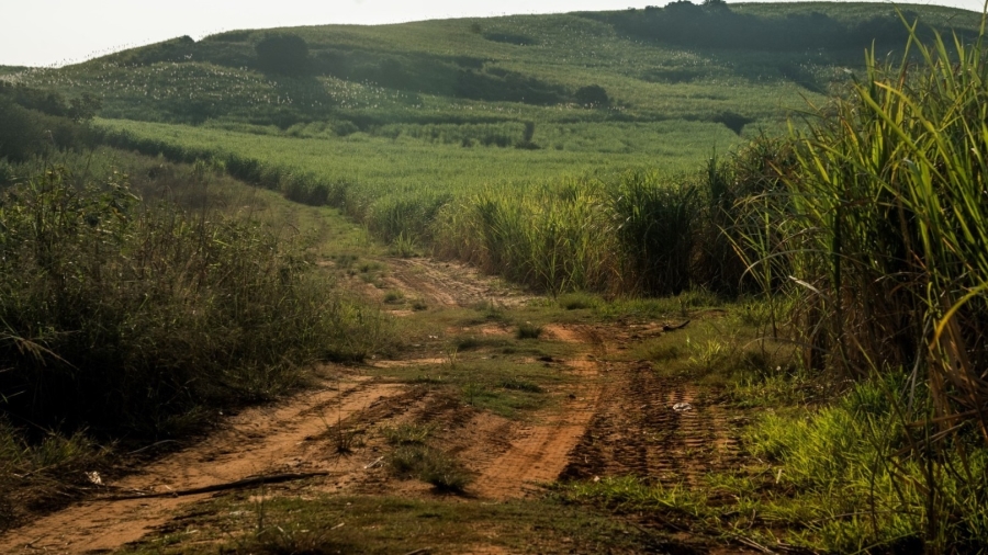 0 Bedroom Property for Sale in Tinley Manor KwaZulu-Natal