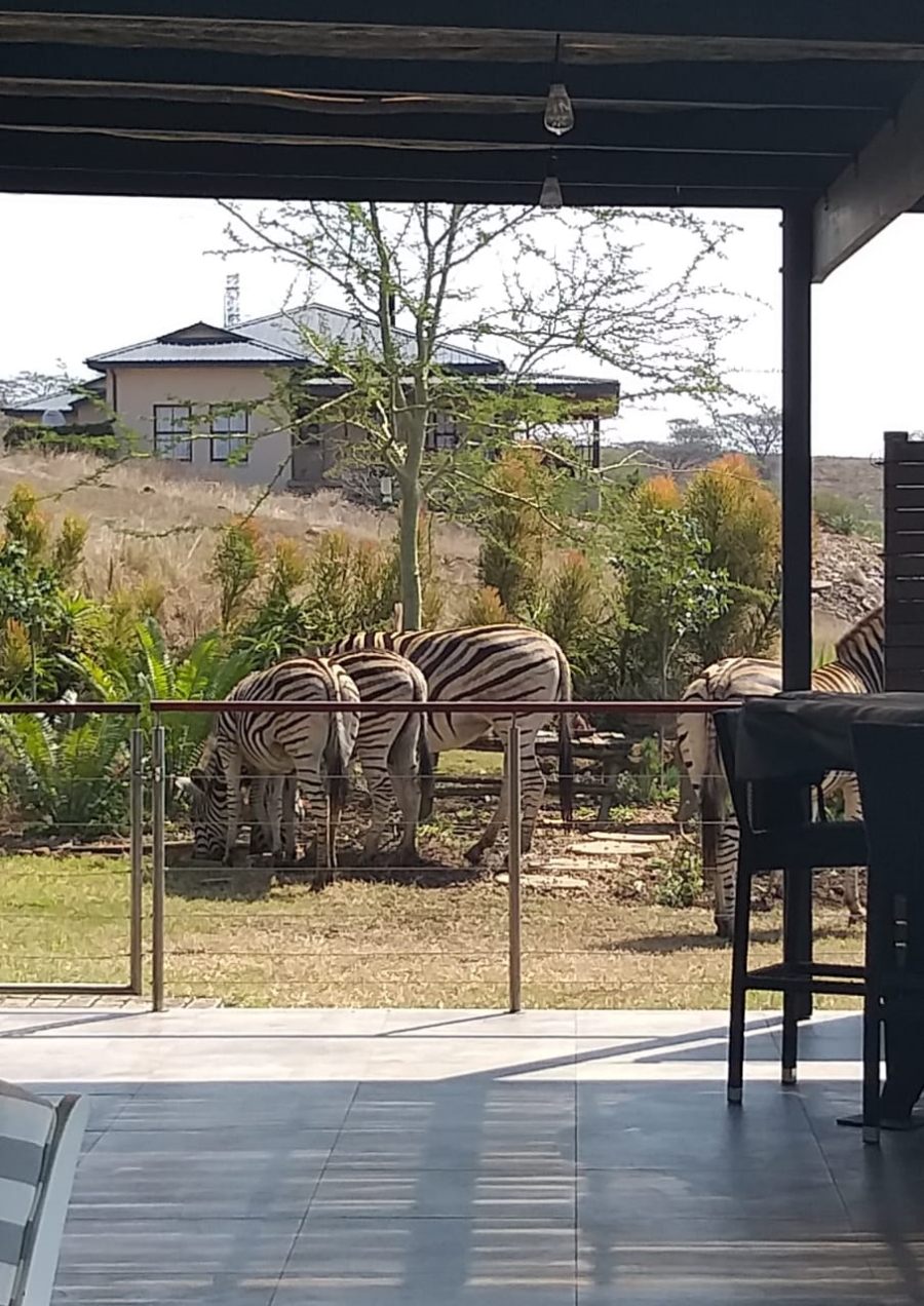 4 Bedroom Property for Sale in Intaba Ridge Secure Eco Estate KwaZulu-Natal