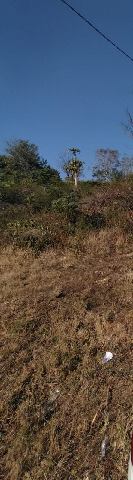 0 Bedroom Property for Sale in Lotusville KwaZulu-Natal