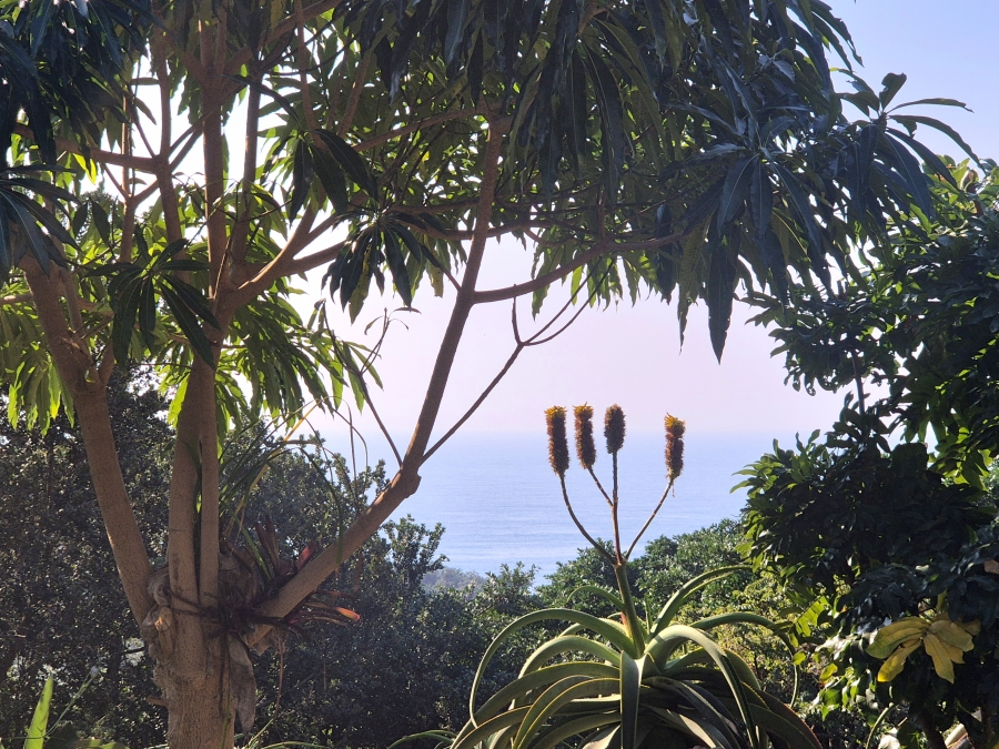 0 Bedroom Property for Sale in Sheffield Beach KwaZulu-Natal