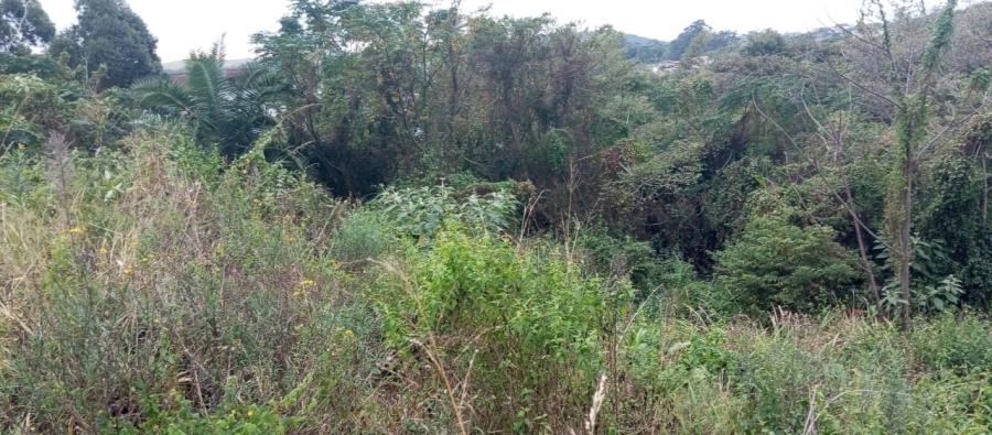 0 Bedroom Property for Sale in Umgababa KwaZulu-Natal