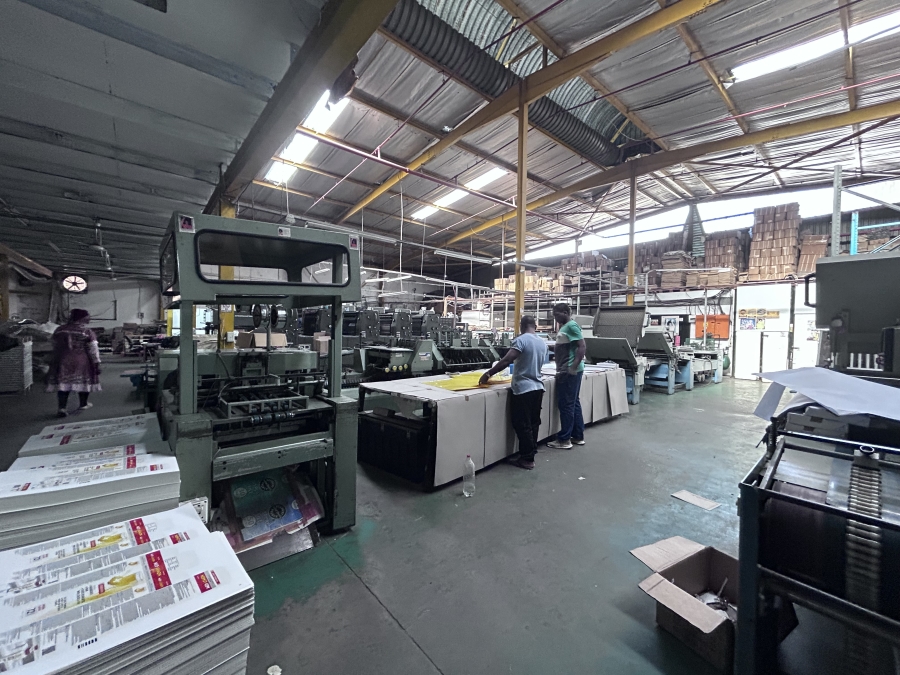 Commercial Property for Sale in Springfield KwaZulu-Natal