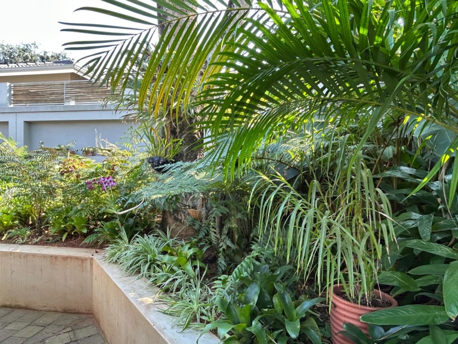 3 Bedroom Property for Sale in Mtunzini KwaZulu-Natal