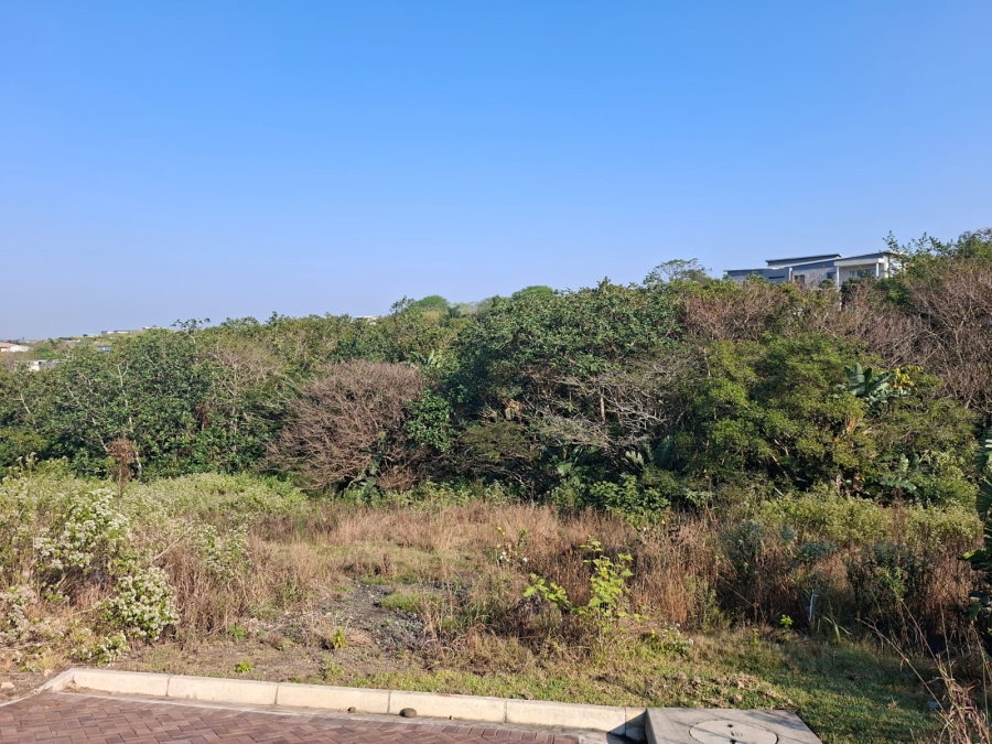 0 Bedroom Property for Sale in Palm Lakes Estate KwaZulu-Natal