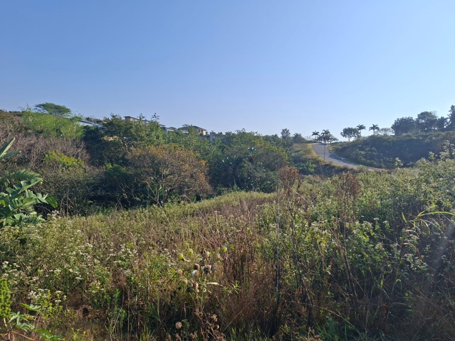0 Bedroom Property for Sale in Palm Lakes Estate KwaZulu-Natal