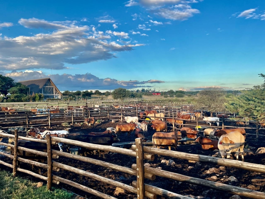 14 Bedroom Property for Sale in Ladysmith Rural KwaZulu-Natal