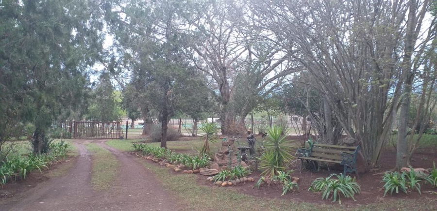 10 Bedroom Property for Sale in Albert Falls KwaZulu-Natal