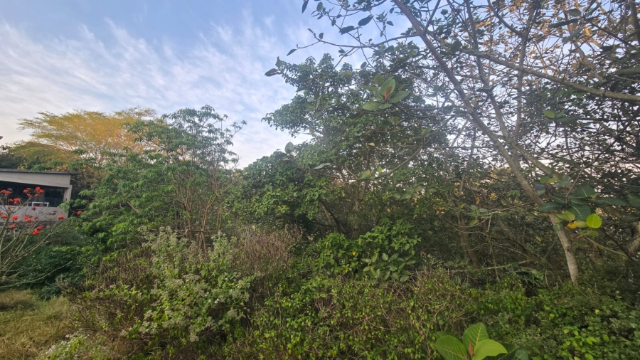 0 Bedroom Property for Sale in Palm Lakes Estate KwaZulu-Natal