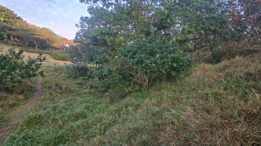 0 Bedroom Property for Sale in Palm Lakes Estate KwaZulu-Natal