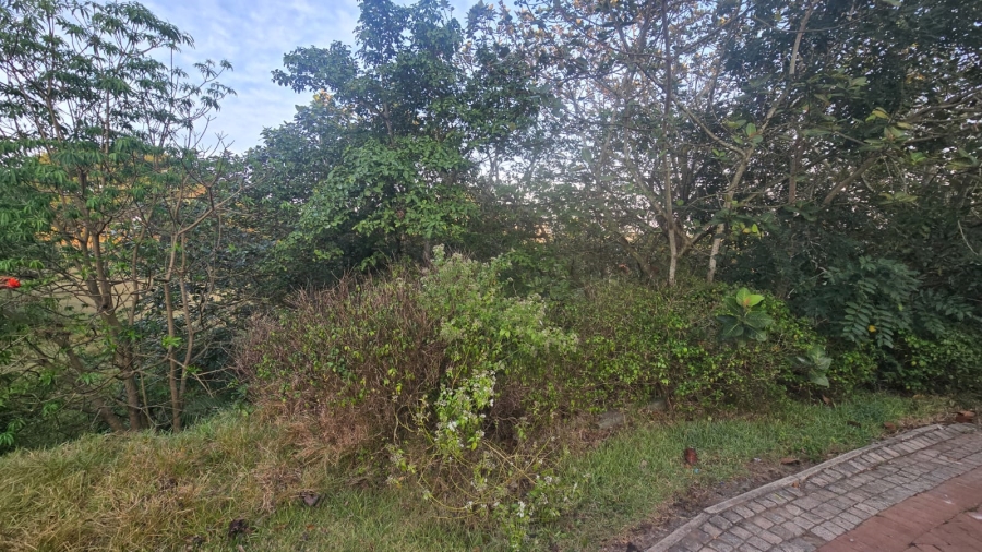 0 Bedroom Property for Sale in Palm Lakes Estate KwaZulu-Natal