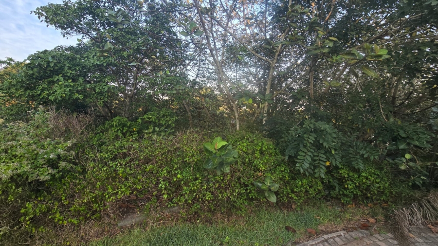 0 Bedroom Property for Sale in Palm Lakes Estate KwaZulu-Natal