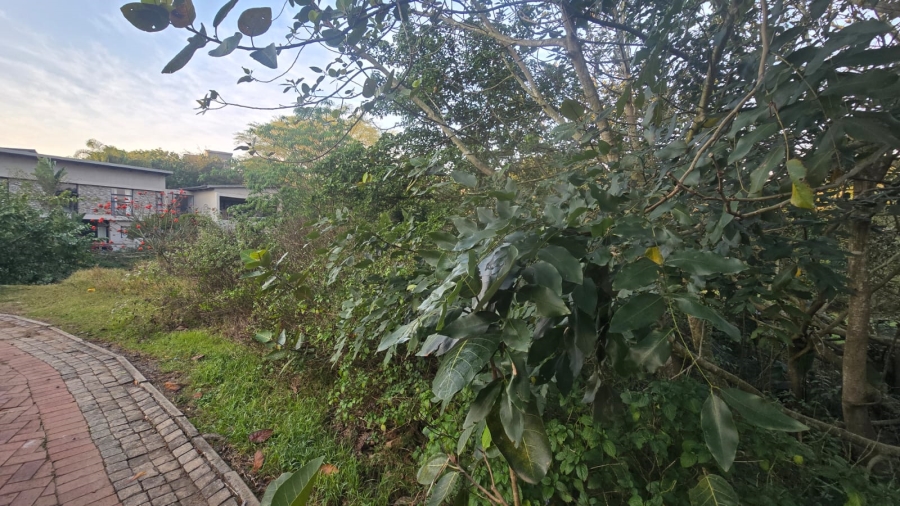 0 Bedroom Property for Sale in Palm Lakes Estate KwaZulu-Natal
