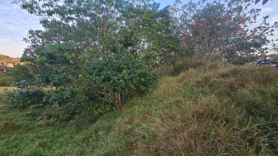 0 Bedroom Property for Sale in Palm Lakes Estate KwaZulu-Natal