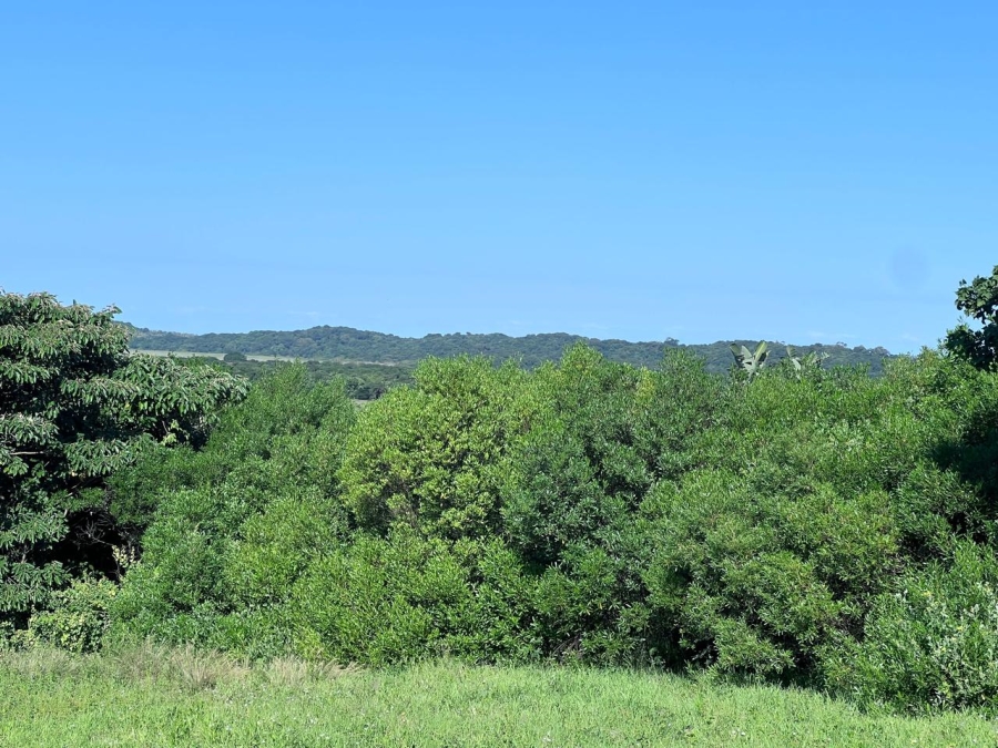 0 Bedroom Property for Sale in Zini River Estate KwaZulu-Natal