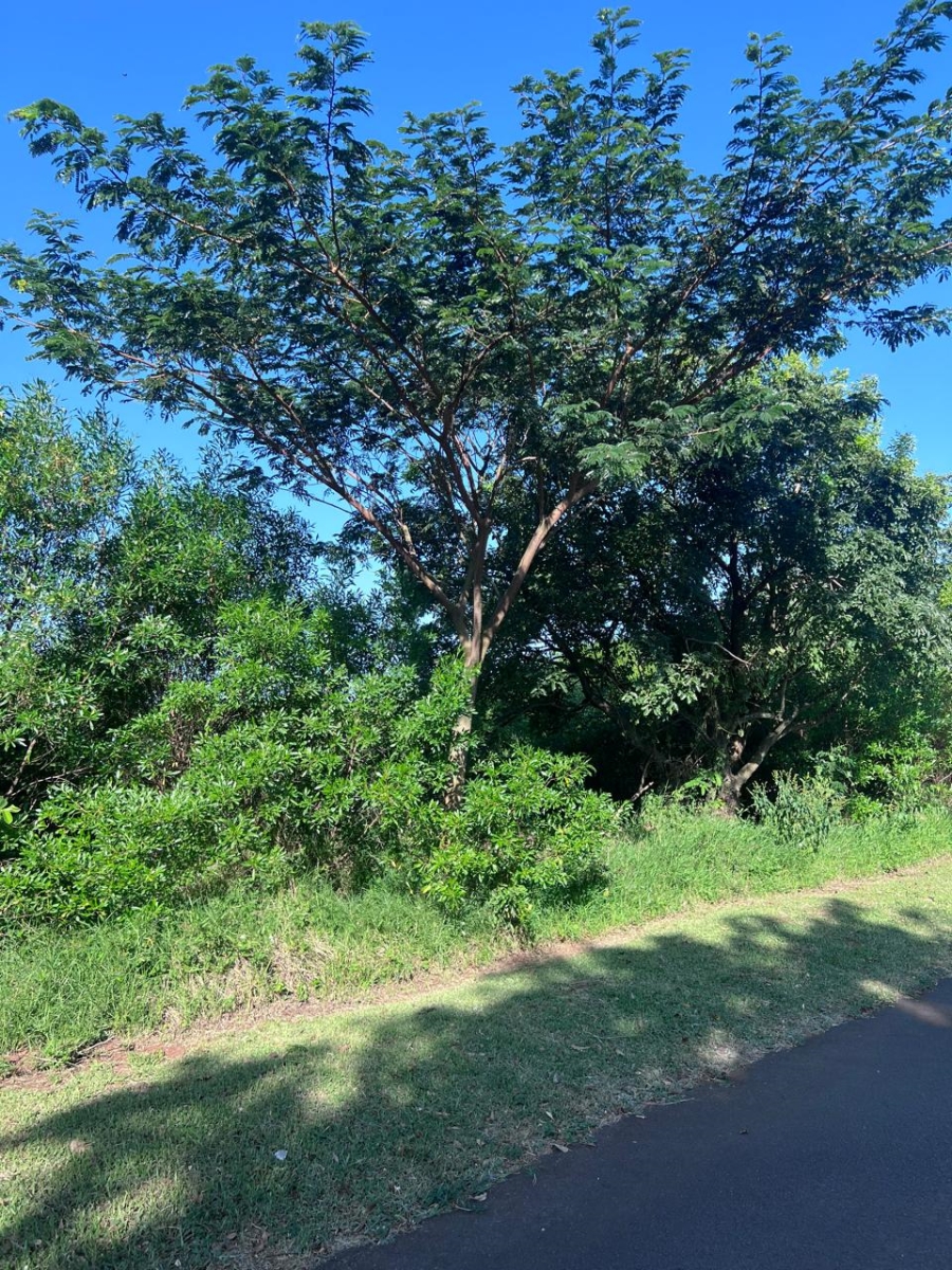 0 Bedroom Property for Sale in Zini River Estate KwaZulu-Natal