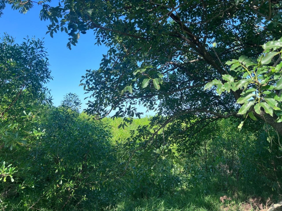 0 Bedroom Property for Sale in Zini River Estate KwaZulu-Natal