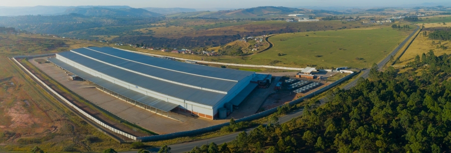 To Let Commercial Property for Rent in Cato Ridge KwaZulu-Natal